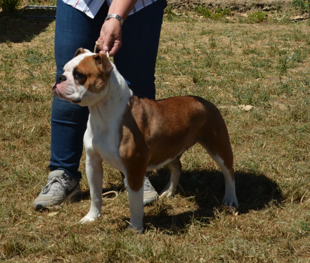 Yapafoto Sweet conti girl - 2 eme excellent