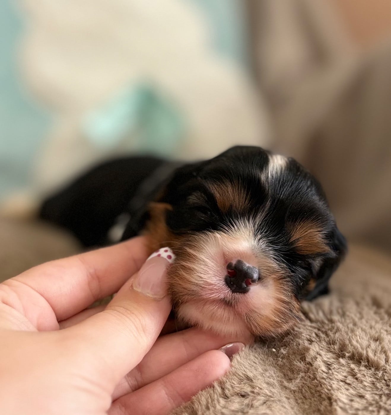 Benny Baby