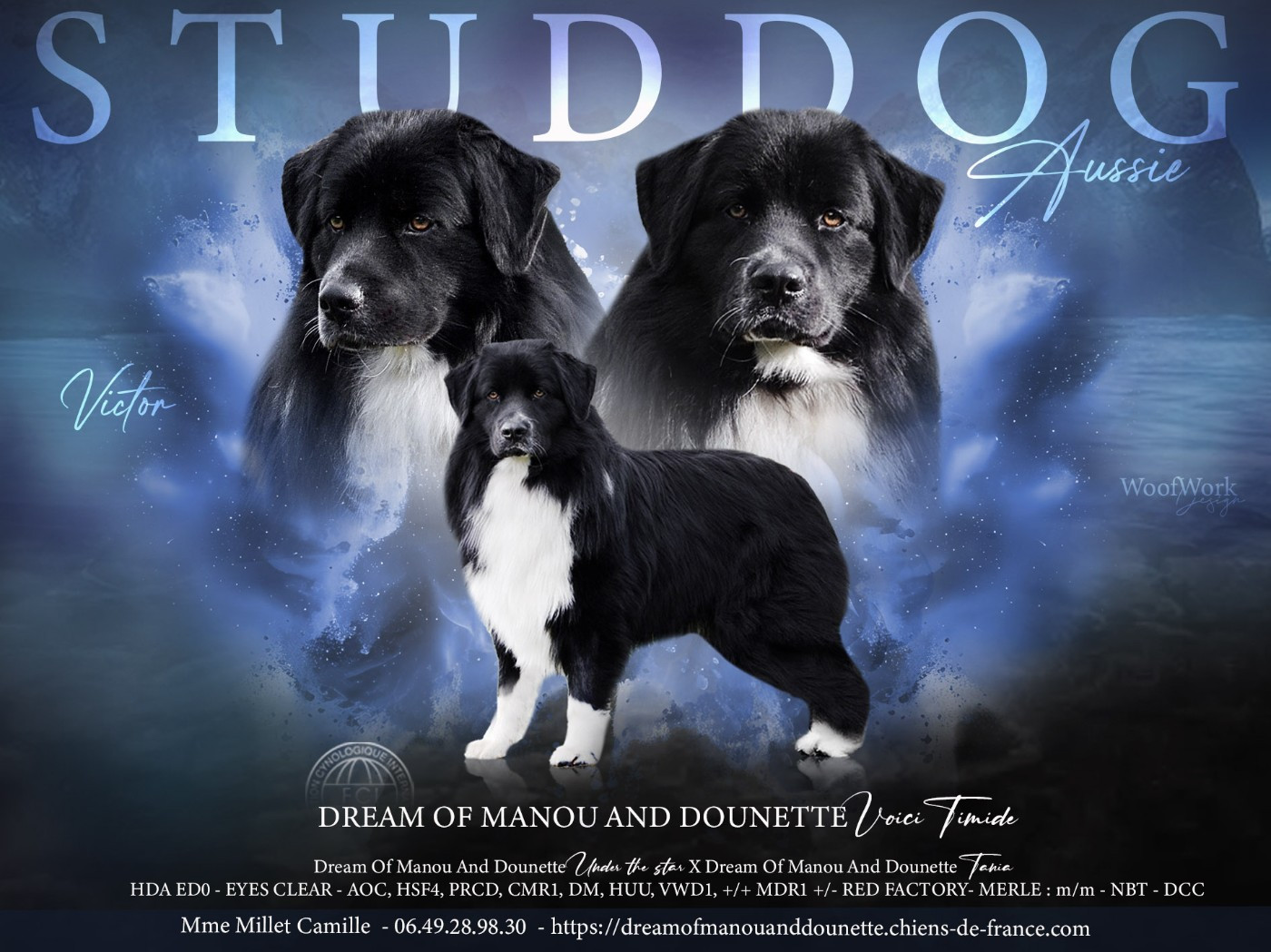 Dream Of Manou And Dounette Voici timide - victor