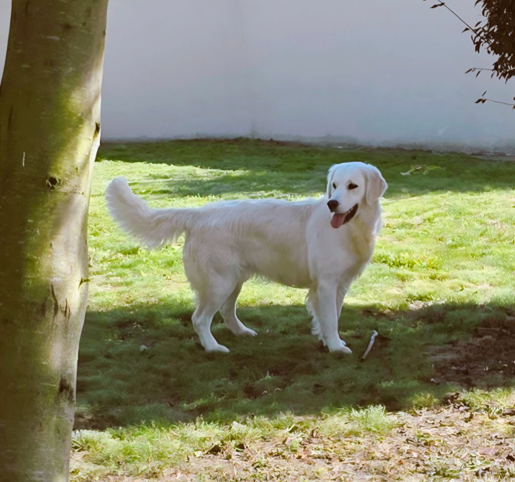 Unique au monde Du domaine du rochereau