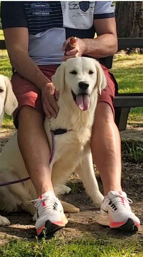 Unique au monde Du domaine du rochereau