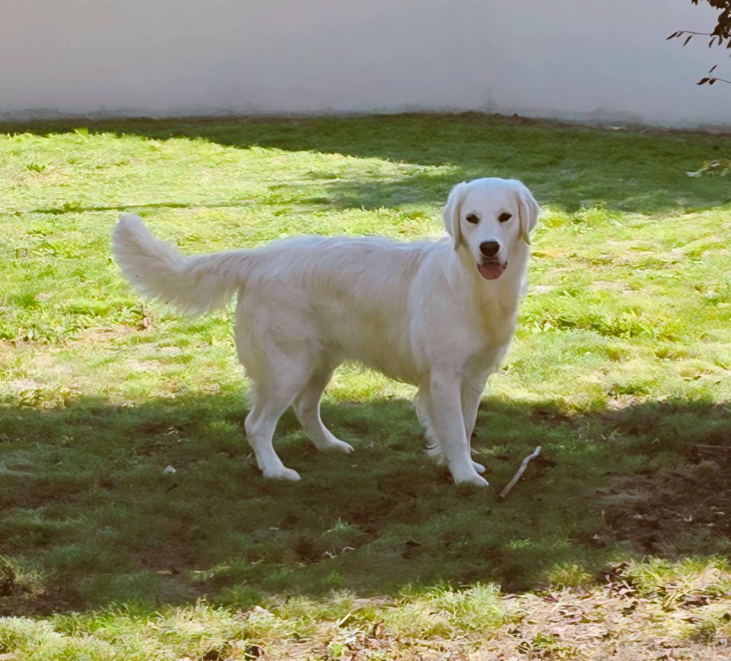 Unique au monde Du domaine du rochereau