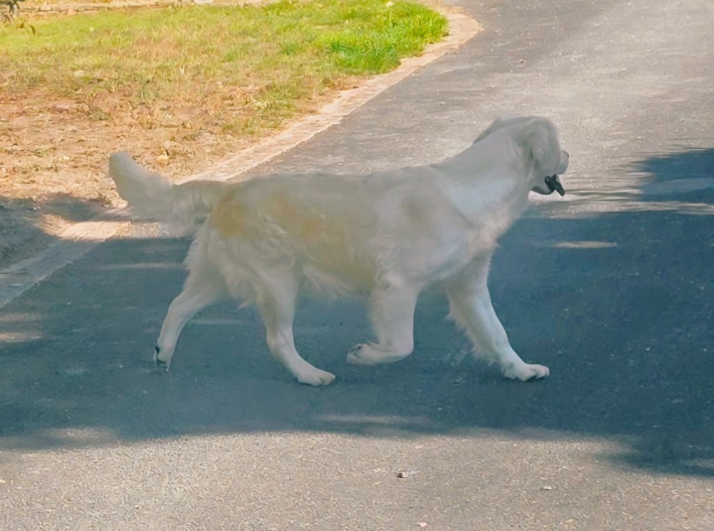 Ultime tentation Du domaine du rochereau