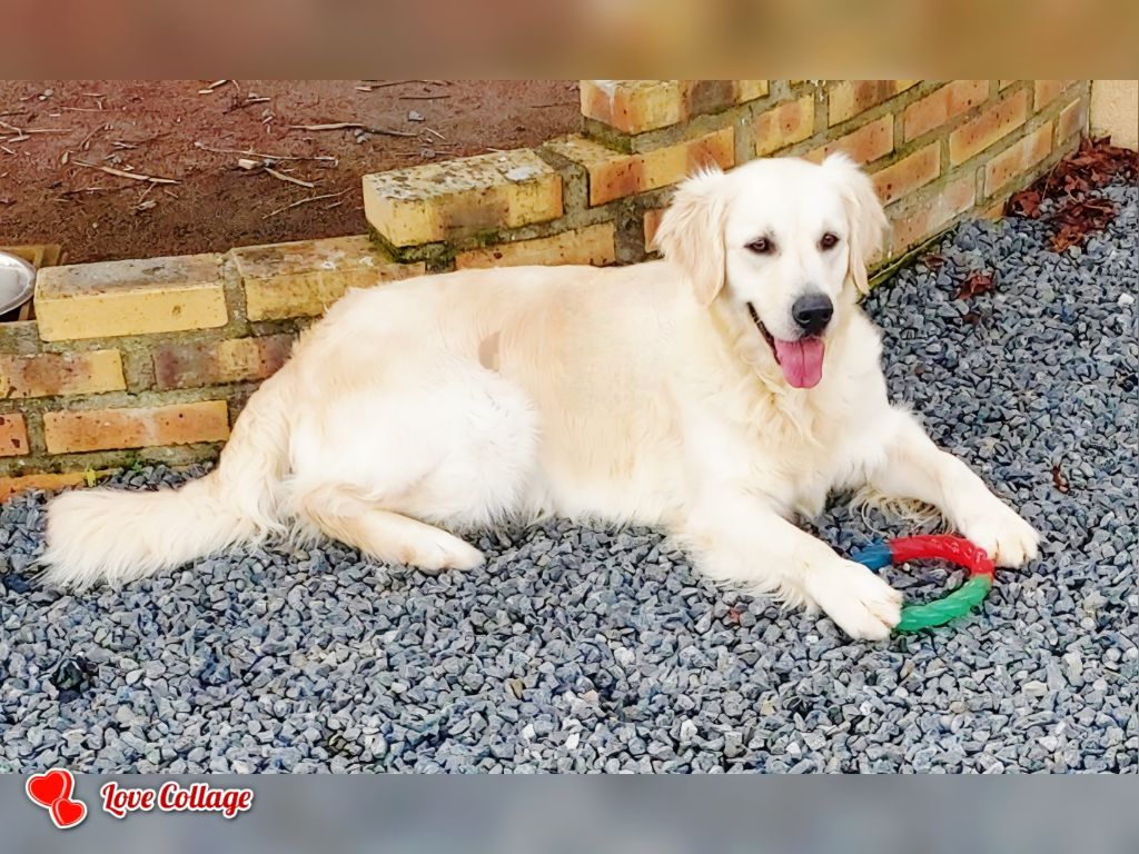 Sara-zine Du domaine du rochereau