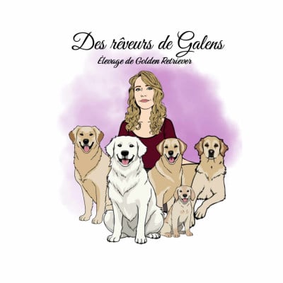 Des Rêveurs De Galens