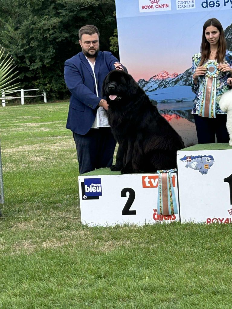 Publication : (Sans Affixe)