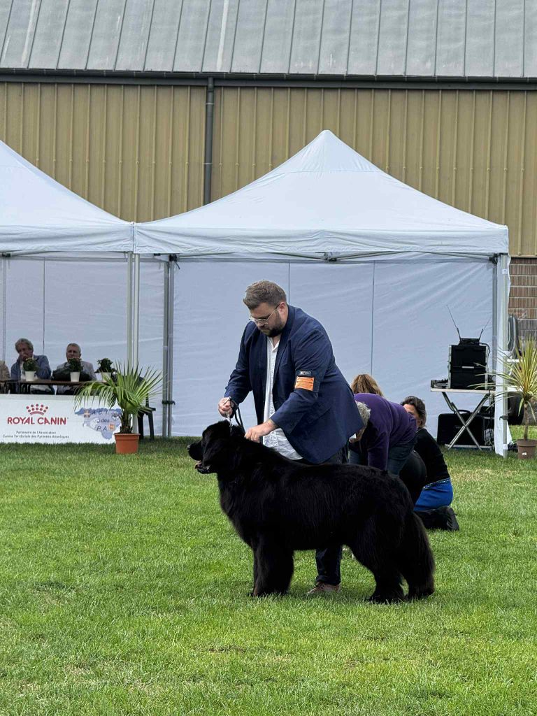 Publication : (Sans Affixe)