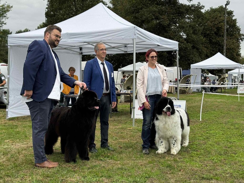 Publication : (Sans Affixe)