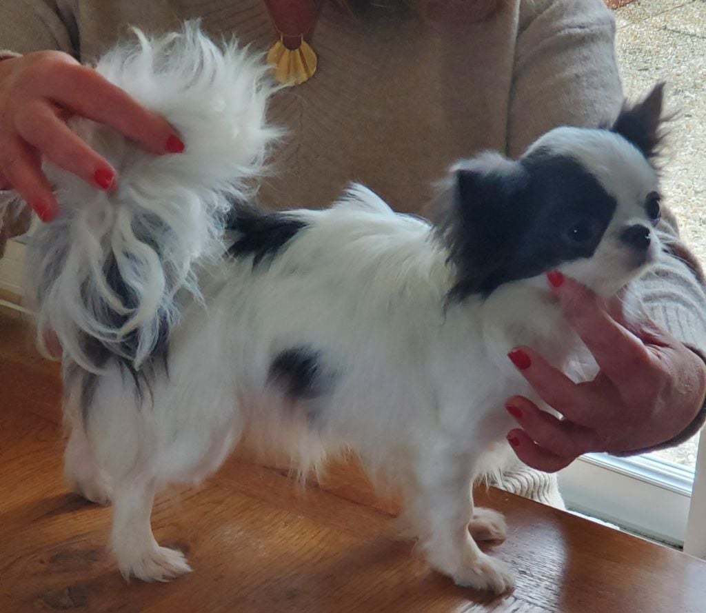 V 'hatchepsout p 'tits koeurs de kalou