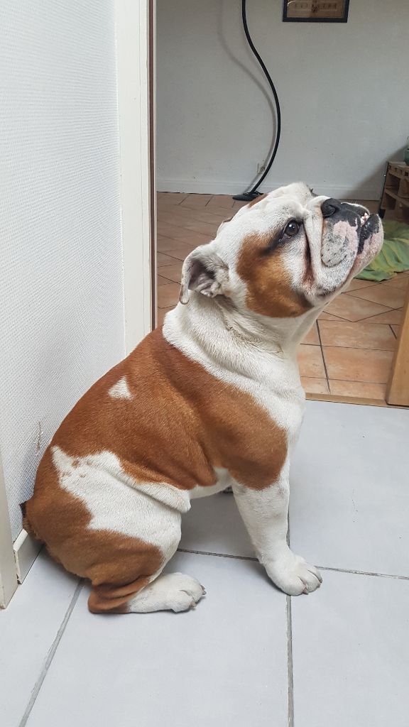 Publication : (Sans Affixe) Auteur : Floriane RICHARD