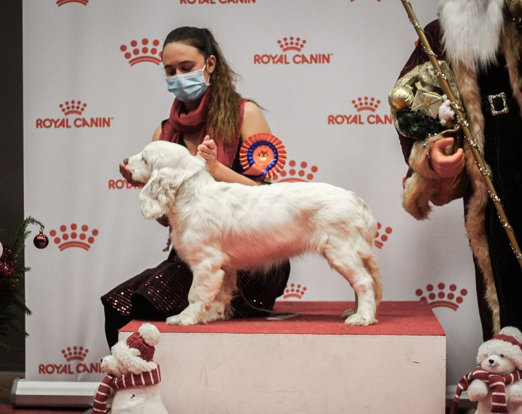 Hobivanna Sheer of attack - Meilleur Baby de la race très prometteur