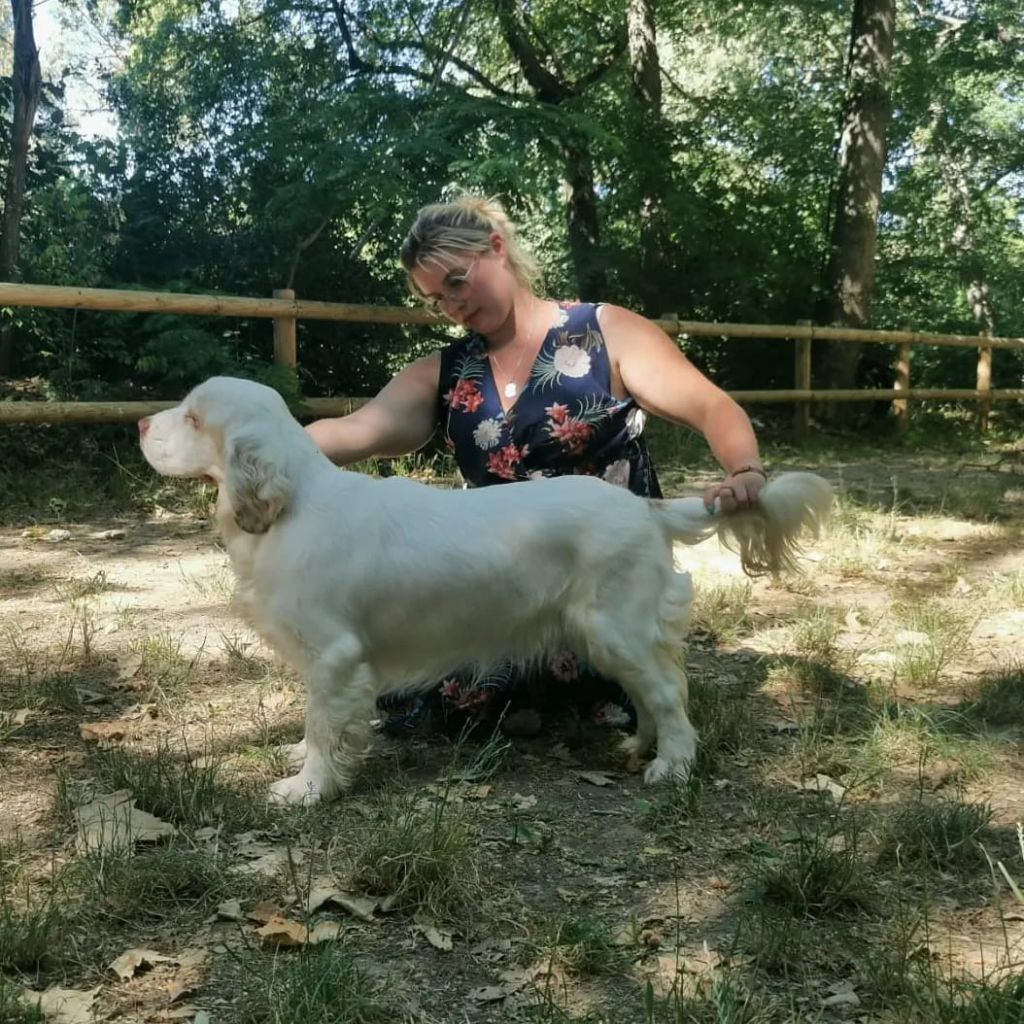 Hobivanna Sheer of attack - BOJ & BOB