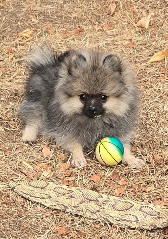 BETTY