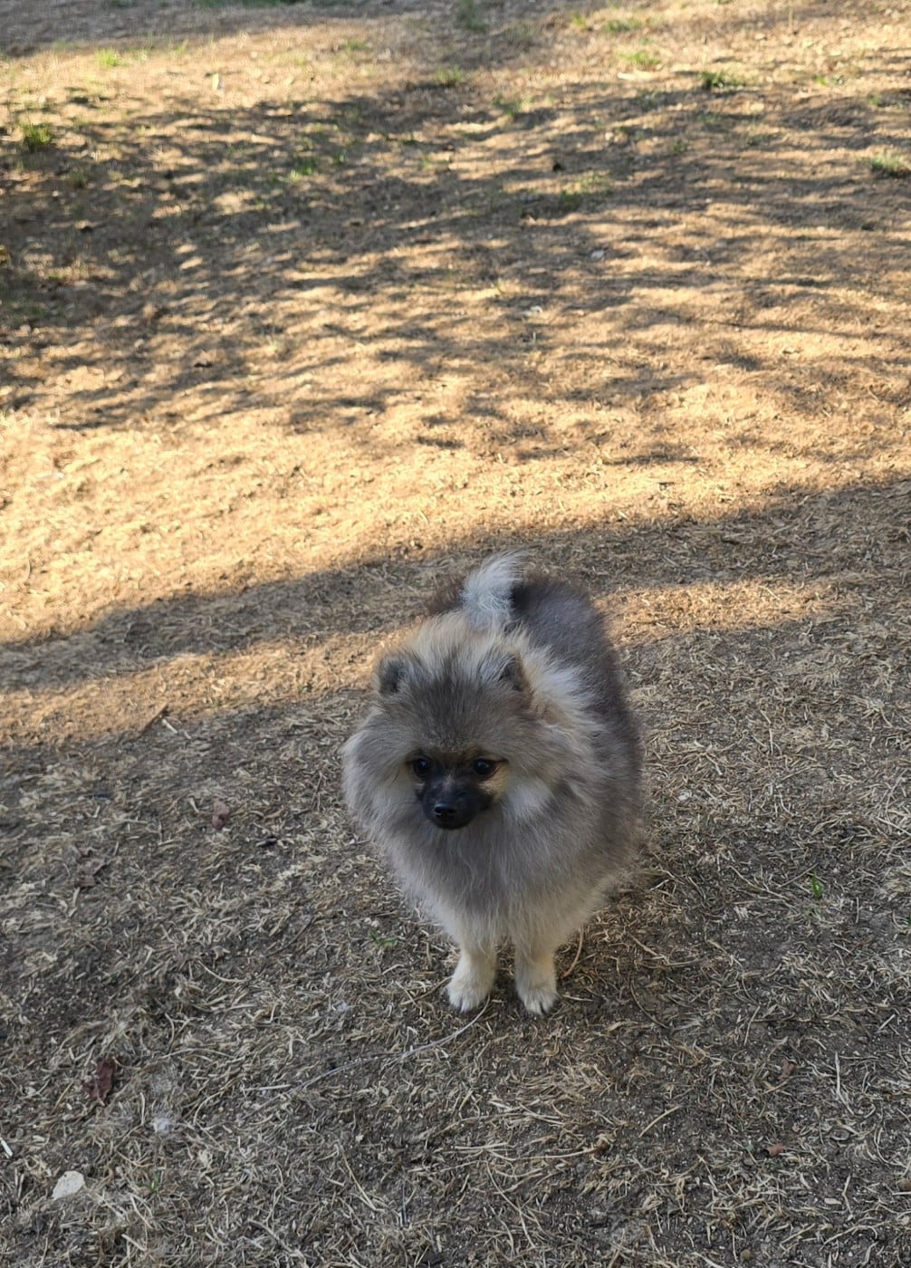 BETTY