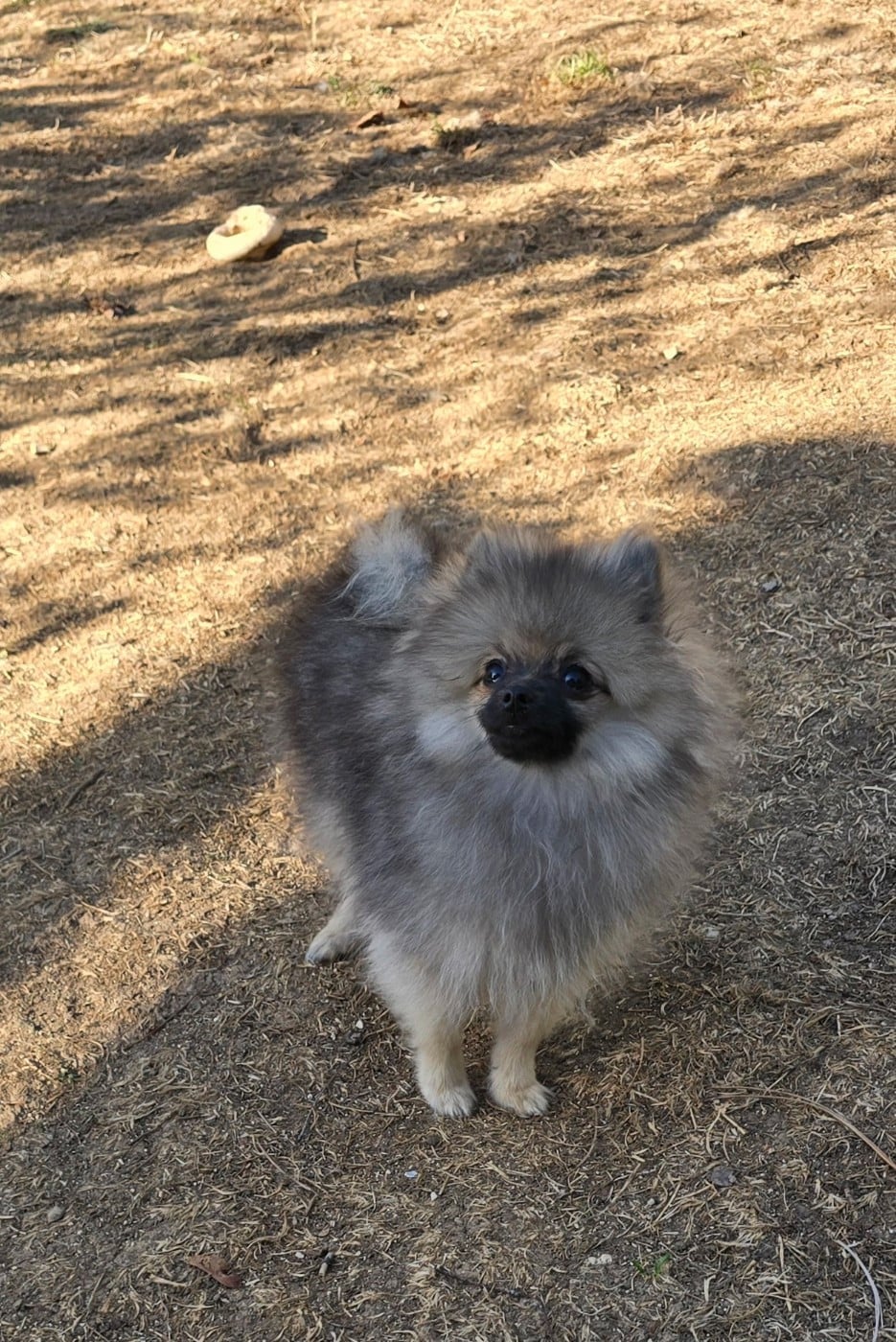 BETTY