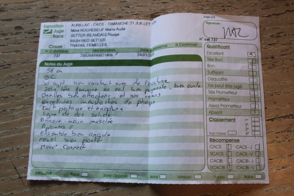 TR. Pampa des Demons De Gergovie - Excellent. Classe Travail.