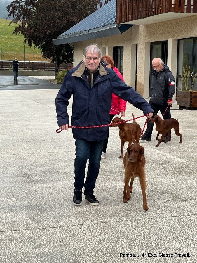 TR. Pampa des Demons De Gergovie - Nationale d'Élevage... 4° Excellent.