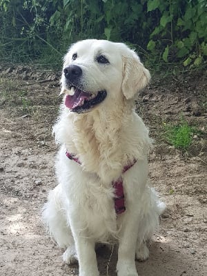 Des Hauts De L'Embellie