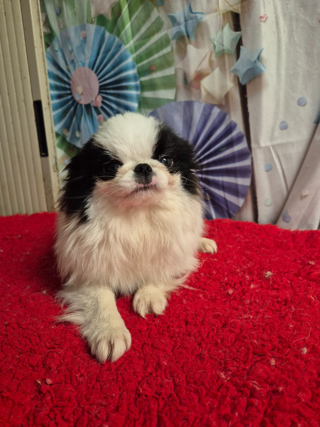 Ai De La Combe Grande