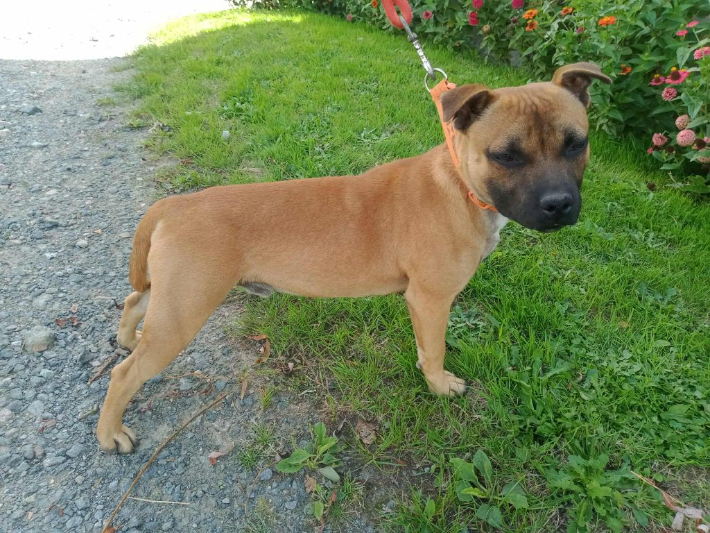 Ace nes pour être des anges