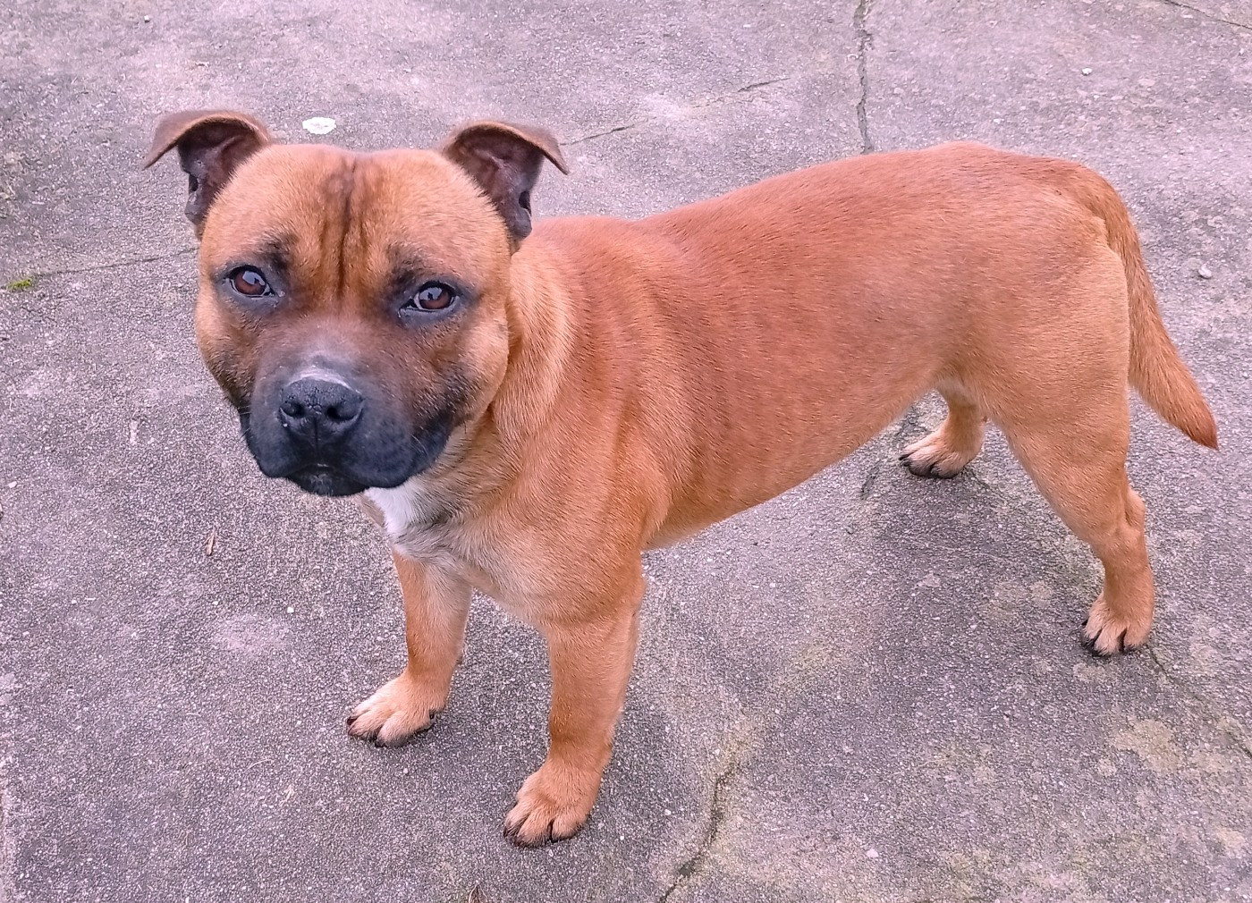 Ace nes pour être des anges