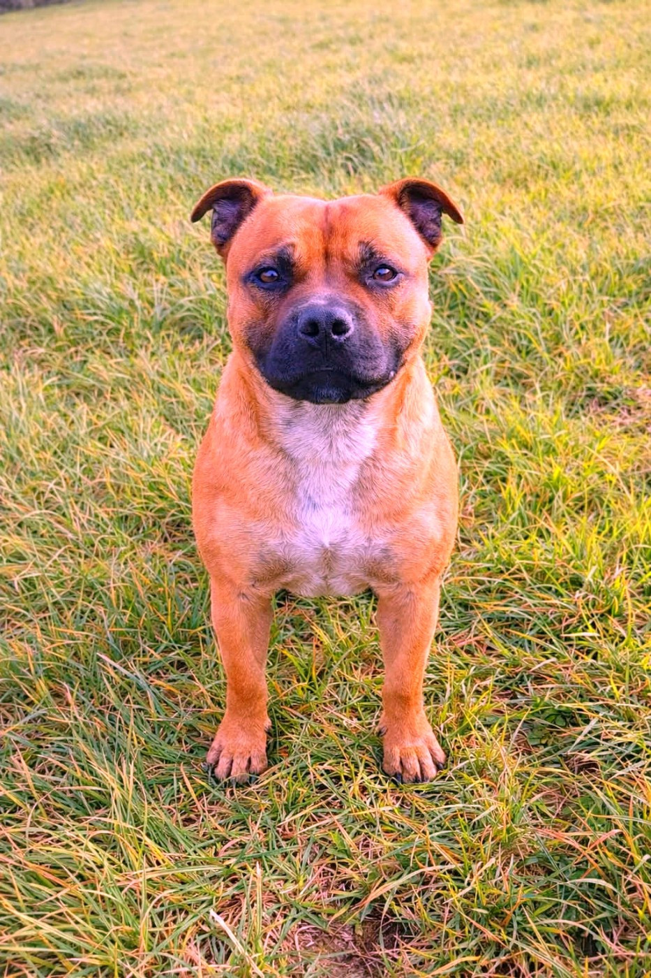 Ace nes pour être des anges