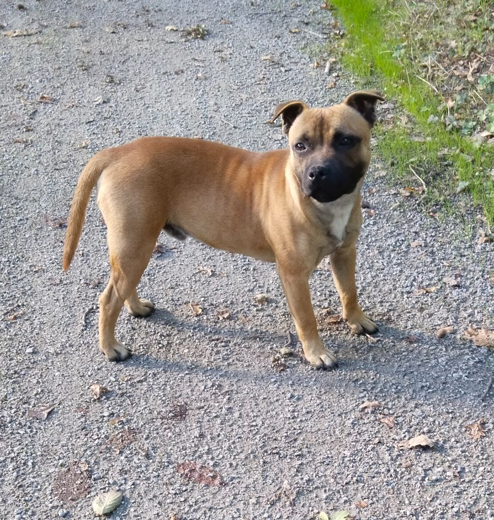 Ace nes pour être des anges