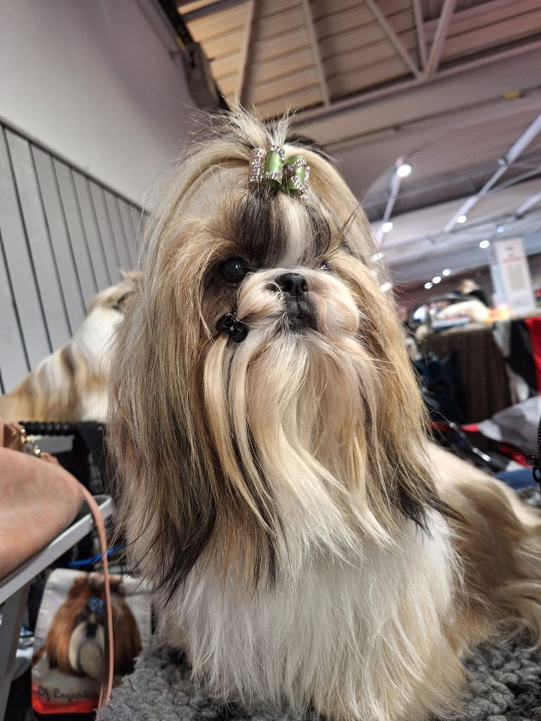 Sherrynn Land Of Pandora - 3ème excellent classe ouverte