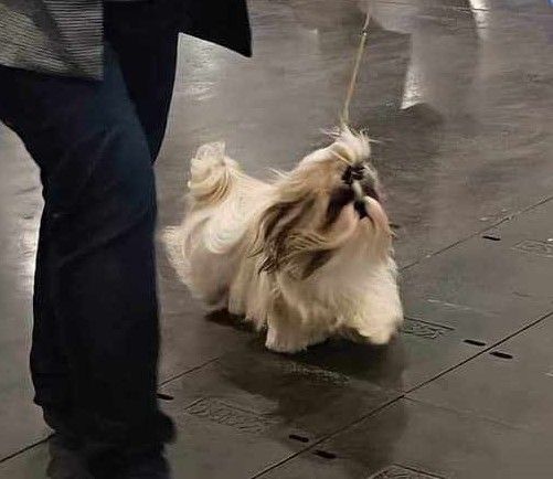 Sherrynn Land Of Pandora - 4ème excellent classe ouverte