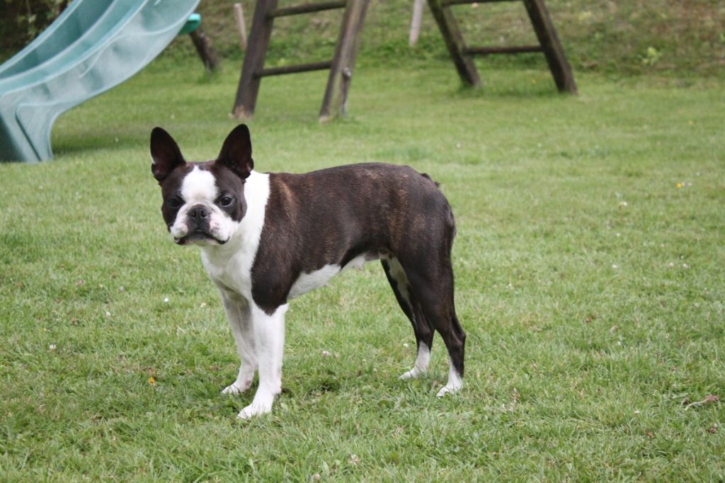 Mavikaflo's Universe yumi