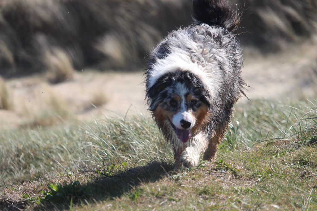 Publication : Des Guerriers D'Ypenburg