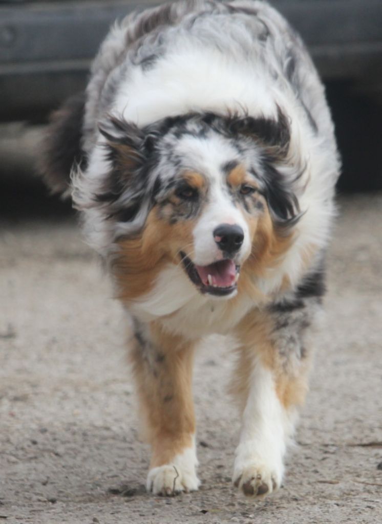 Publication : Des Guerriers D'Ypenburg