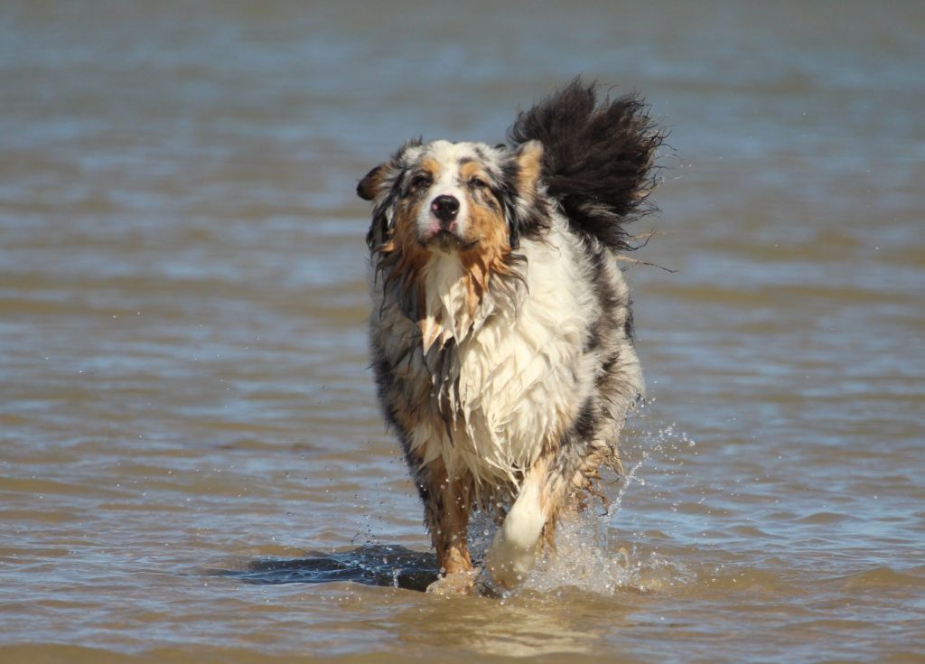 Publication : Des Guerriers D'Ypenburg