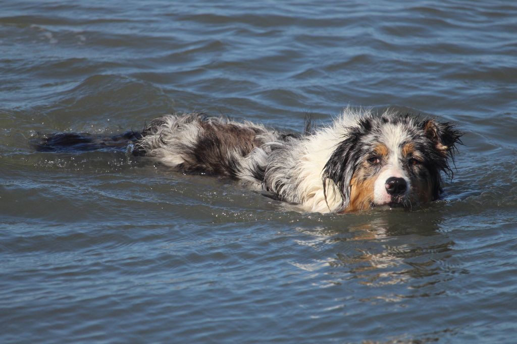 Publication : Des Guerriers D'Ypenburg