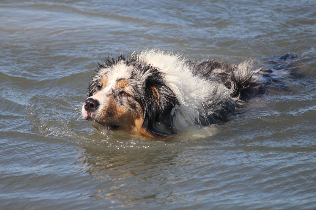 Publication : Des Guerriers D'Ypenburg