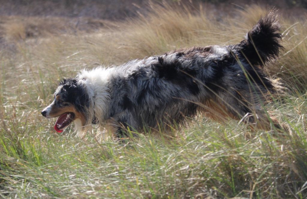 Publication : Des Guerriers D'Ypenburg