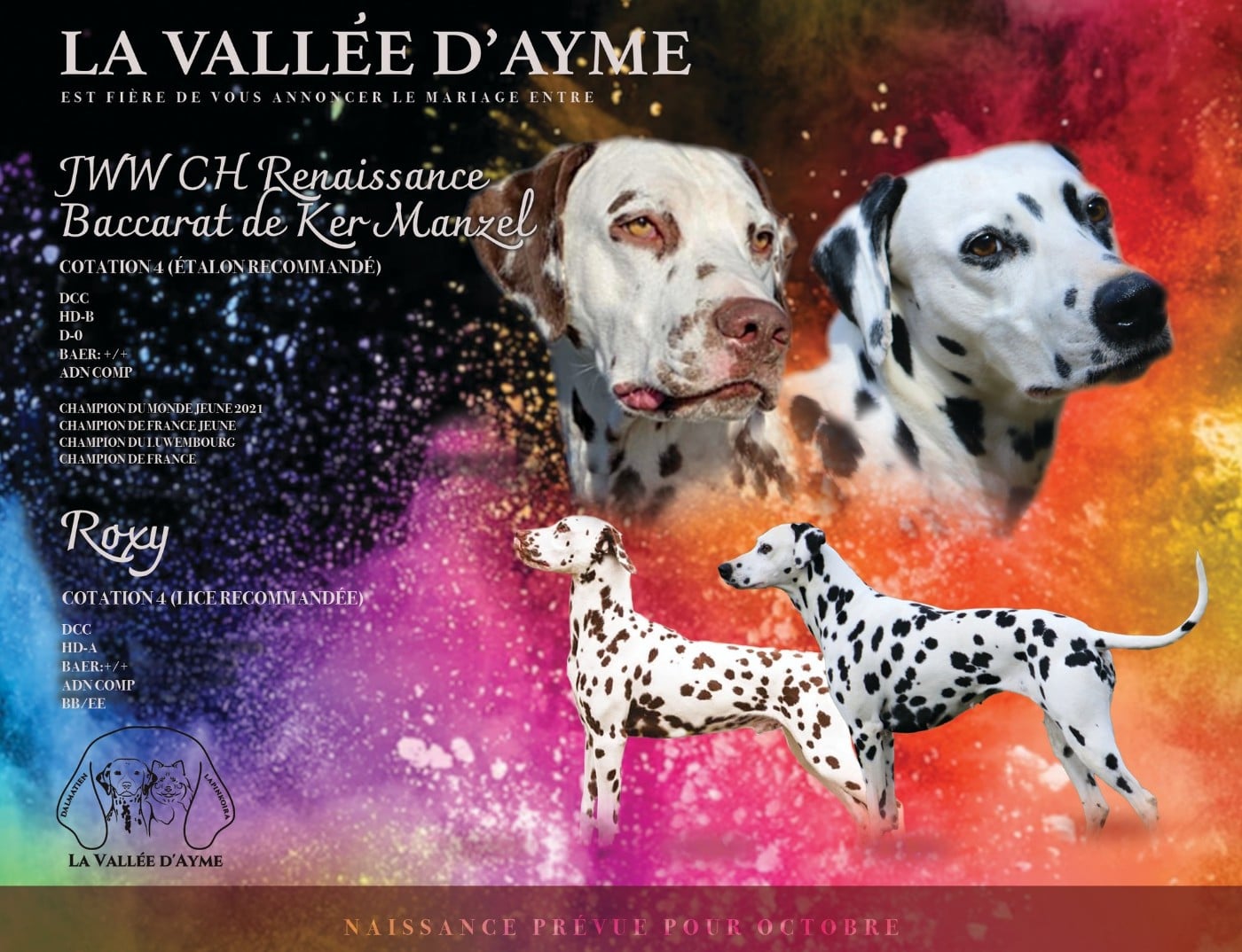 Dalmatien - De La Vallée D'Ayme