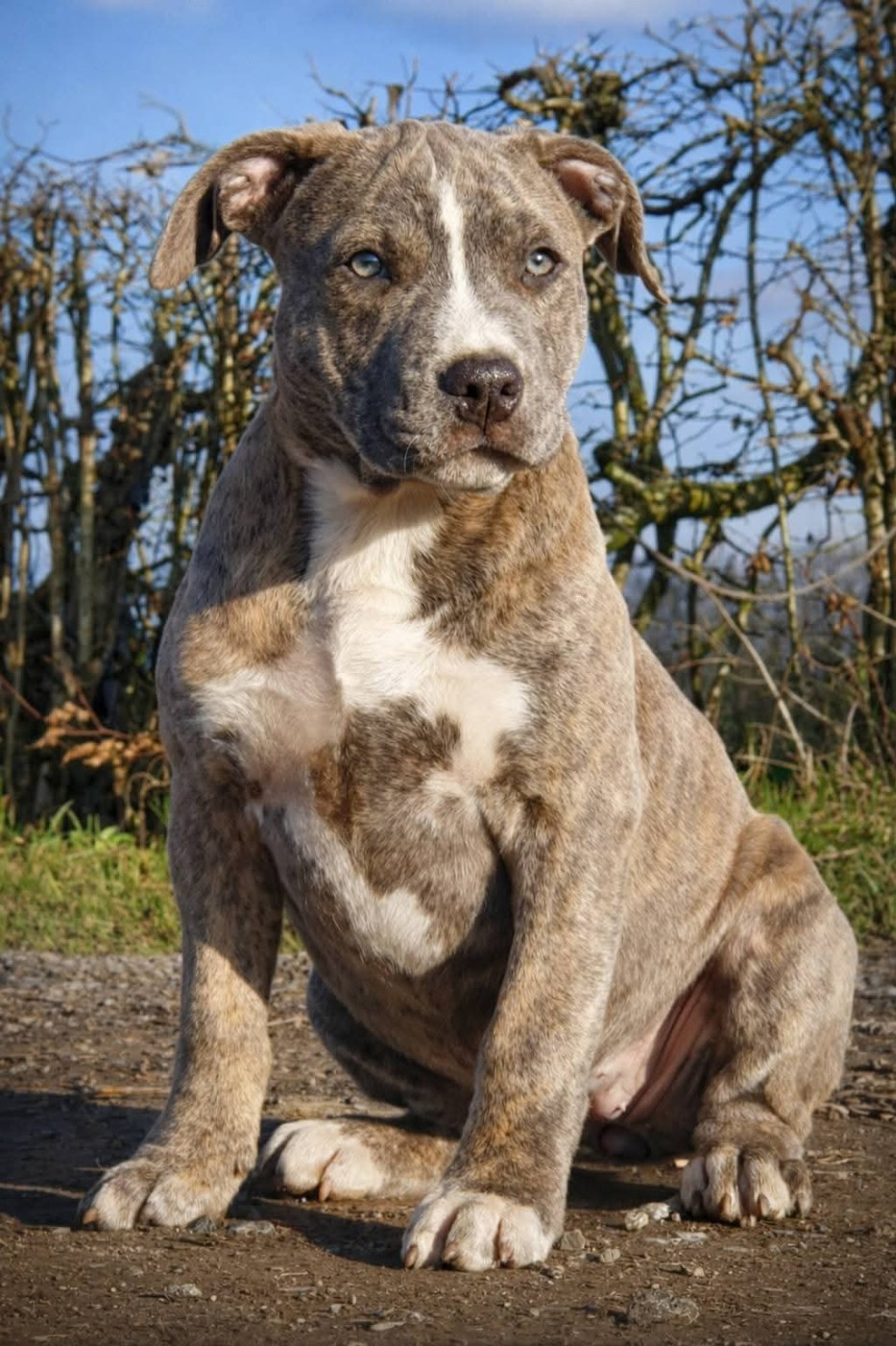 Adorable Mia of Ghost's Empire