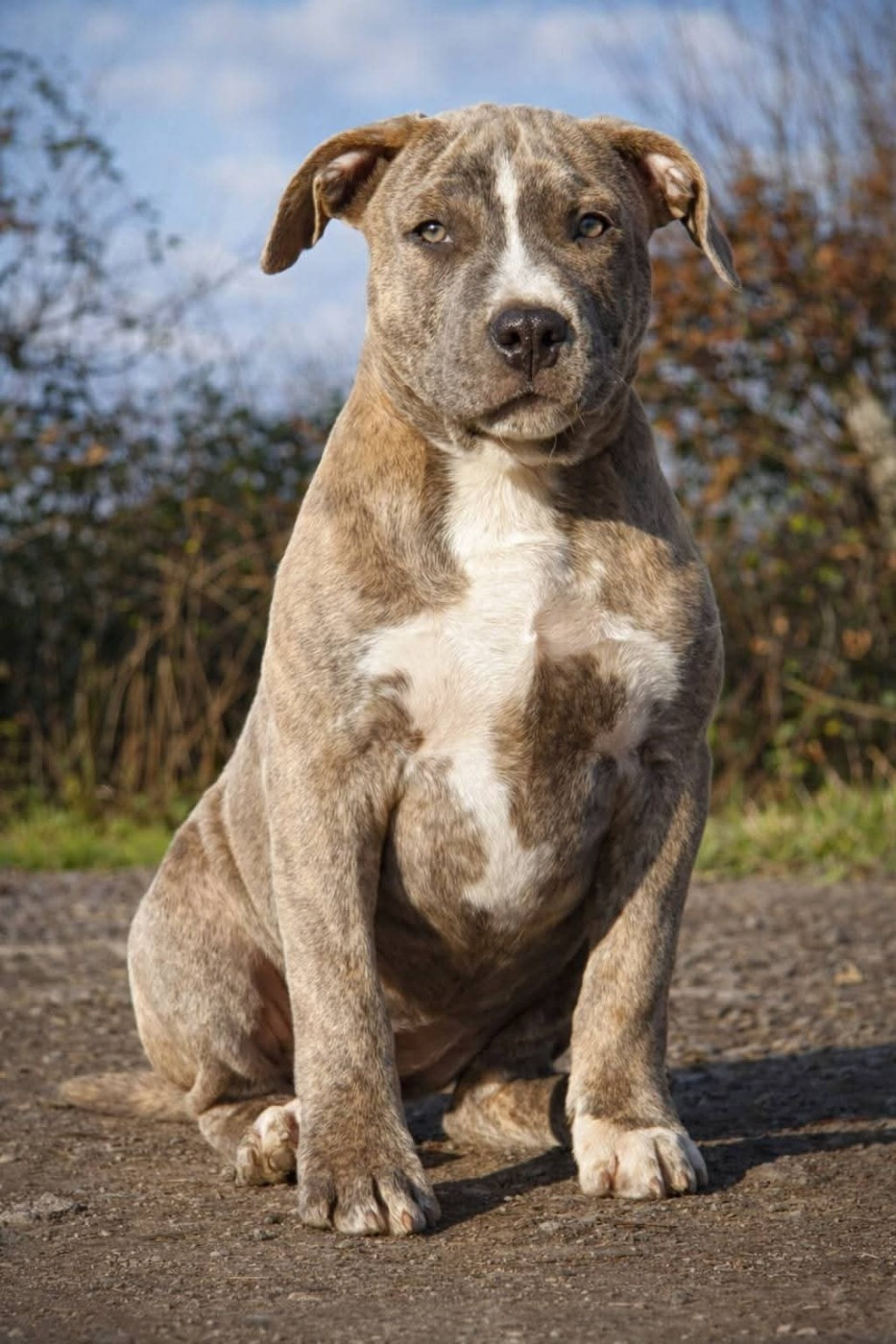 Adorable Mia of Ghost's Empire