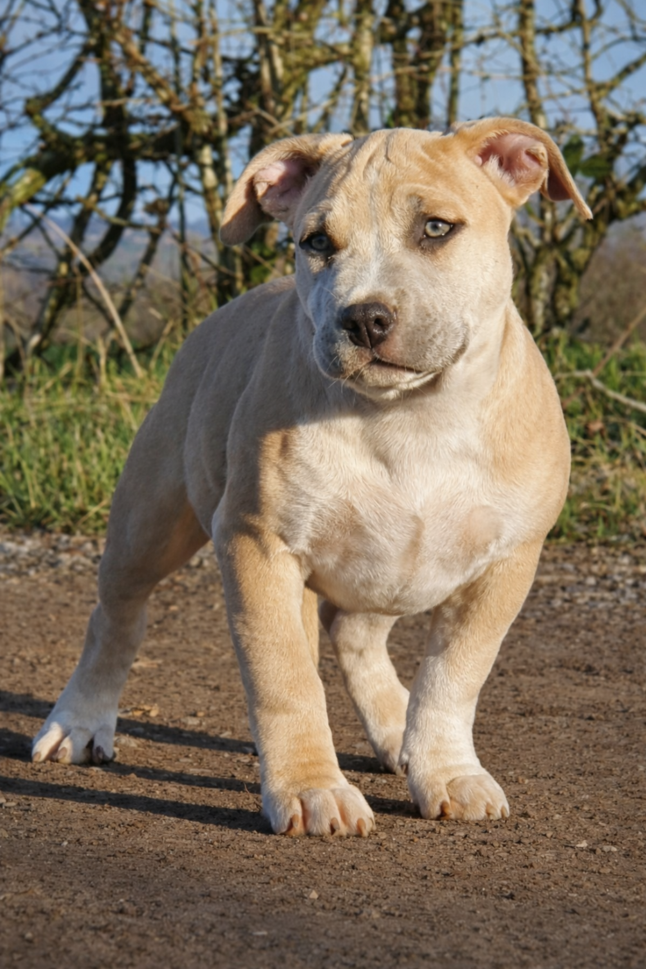 Aïka of Ghost's Empire