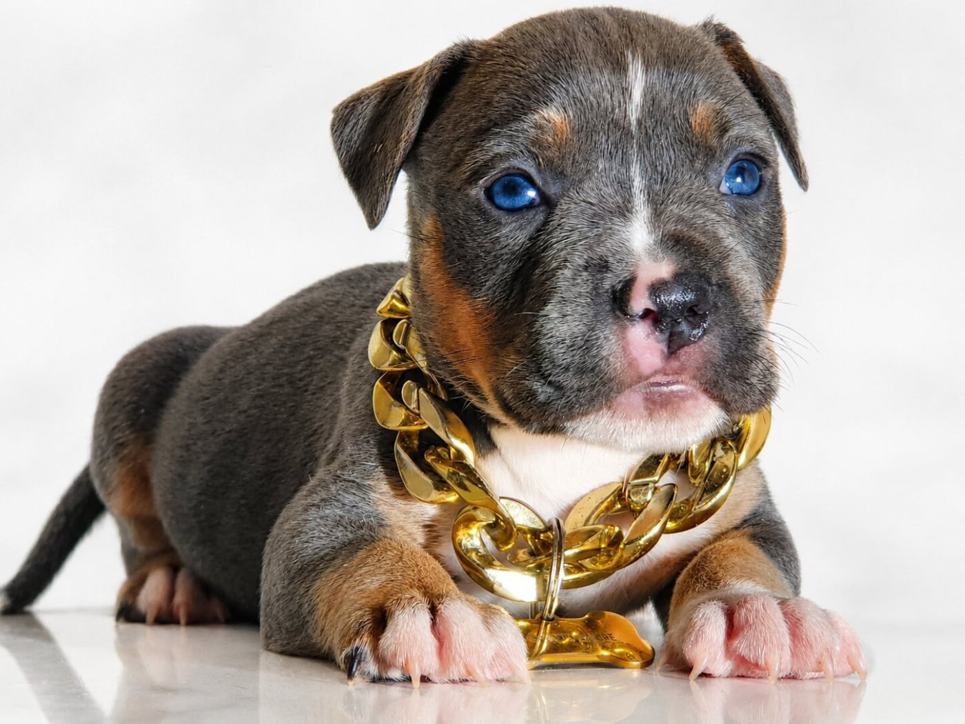 Booba of Ghost's Empire