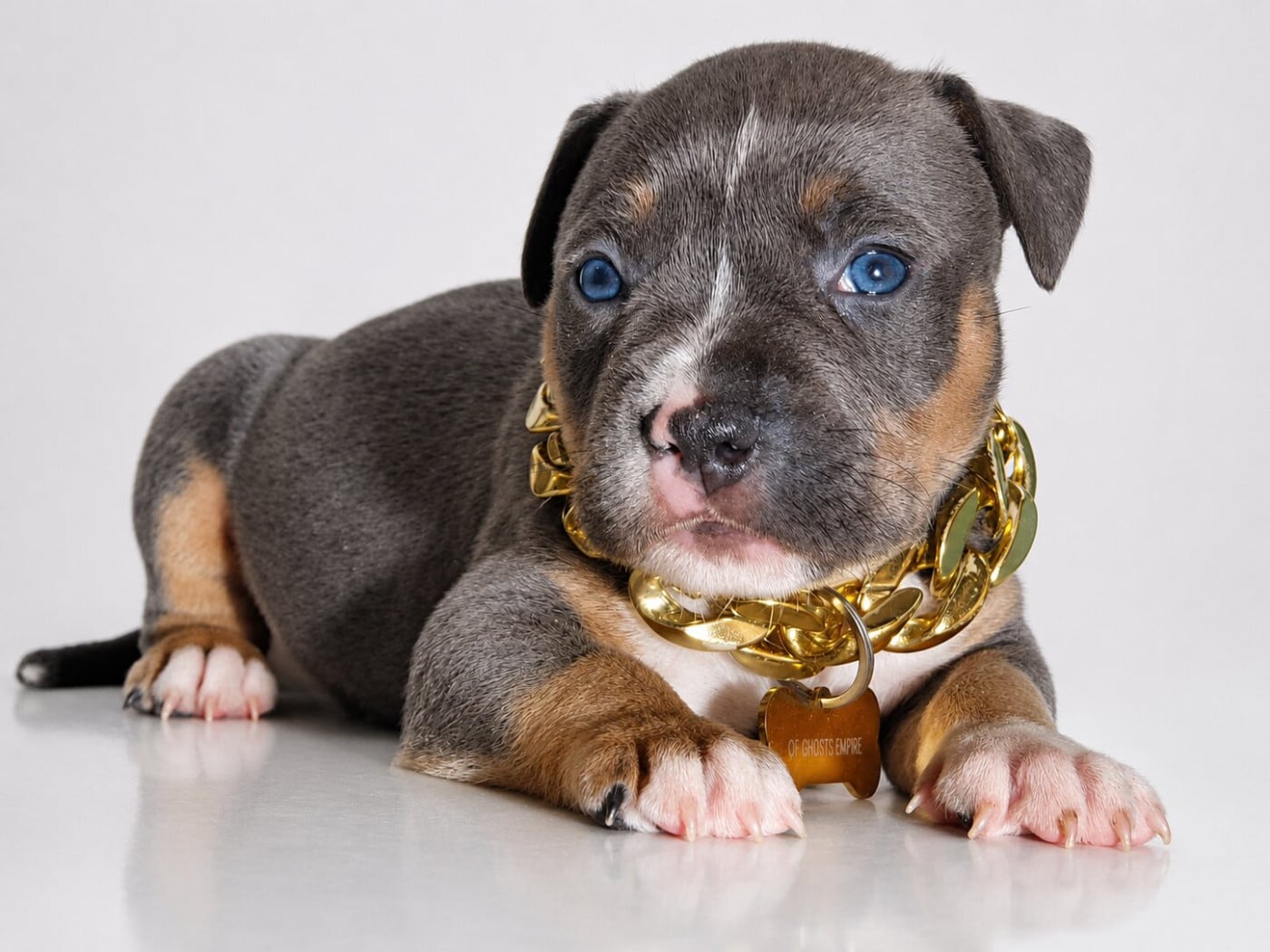 Booba of Ghost's Empire