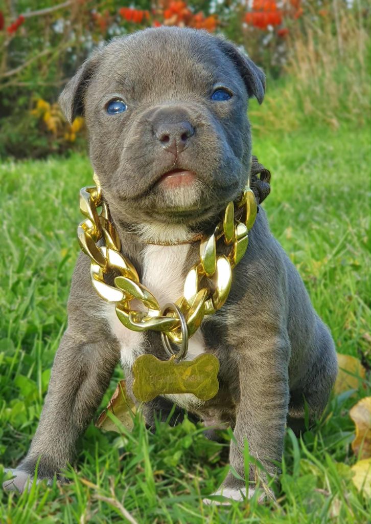 A'Tupac of Ghost's Empire