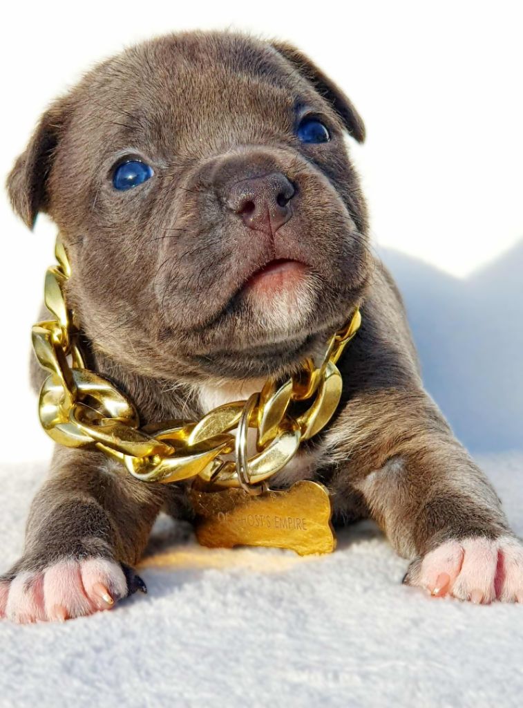 A'Tupac of Ghost's Empire