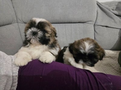 Du Monde de Kymérane