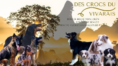 des crocs du vivarais