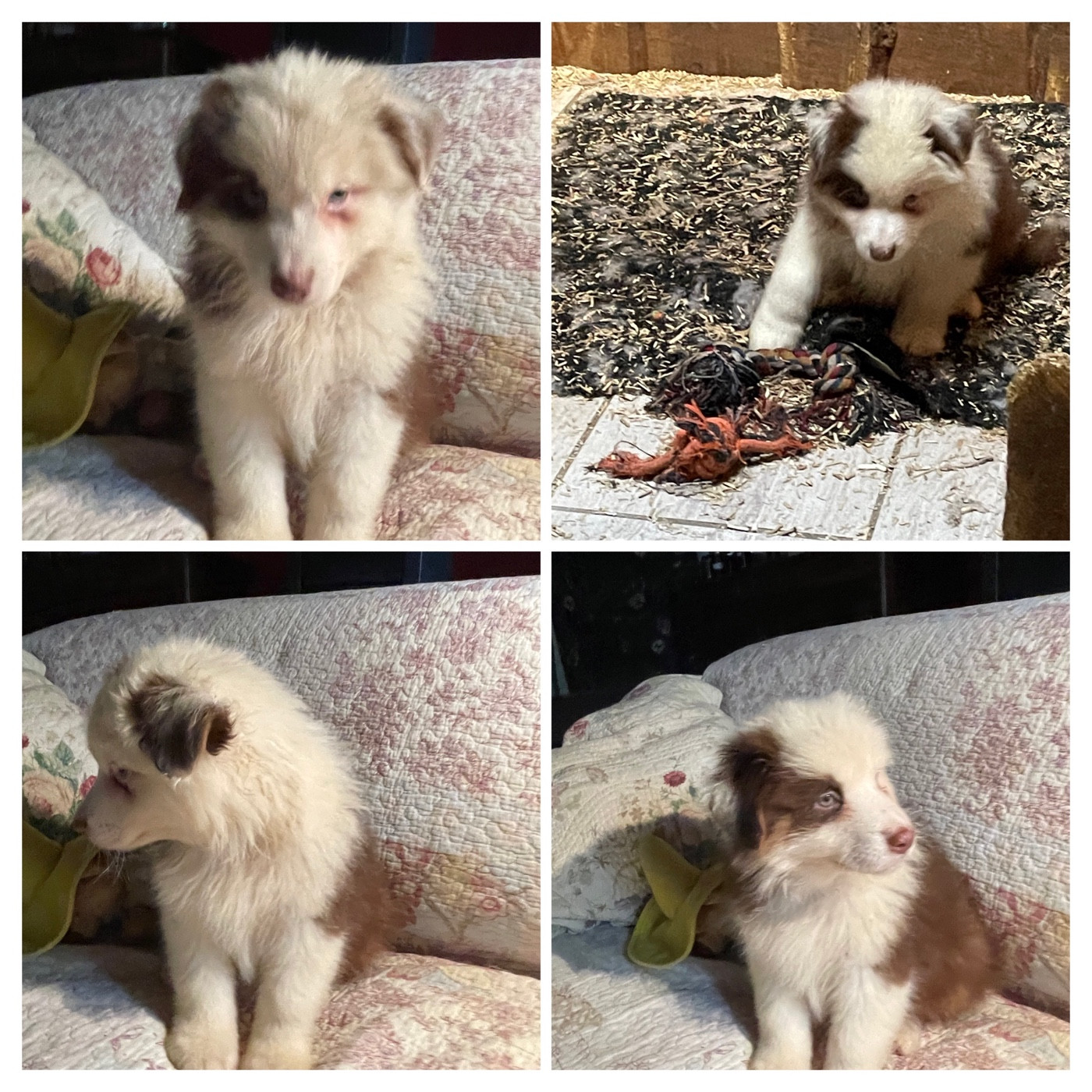 Amour du risque dit Jack Sparrow !