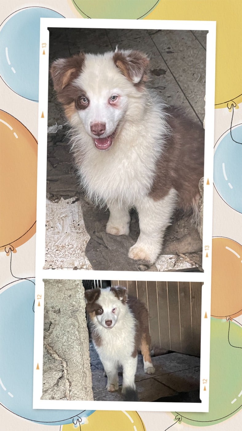 Amour du risque dit Jack Sparrow !