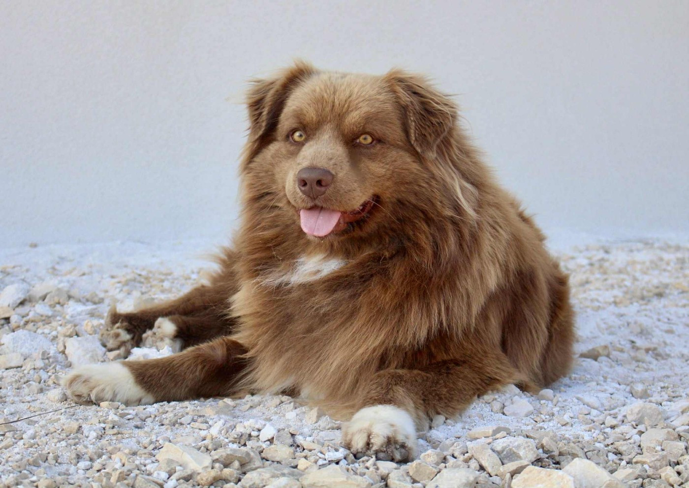 Univers Uranus Des Mille Et Une Pattounes