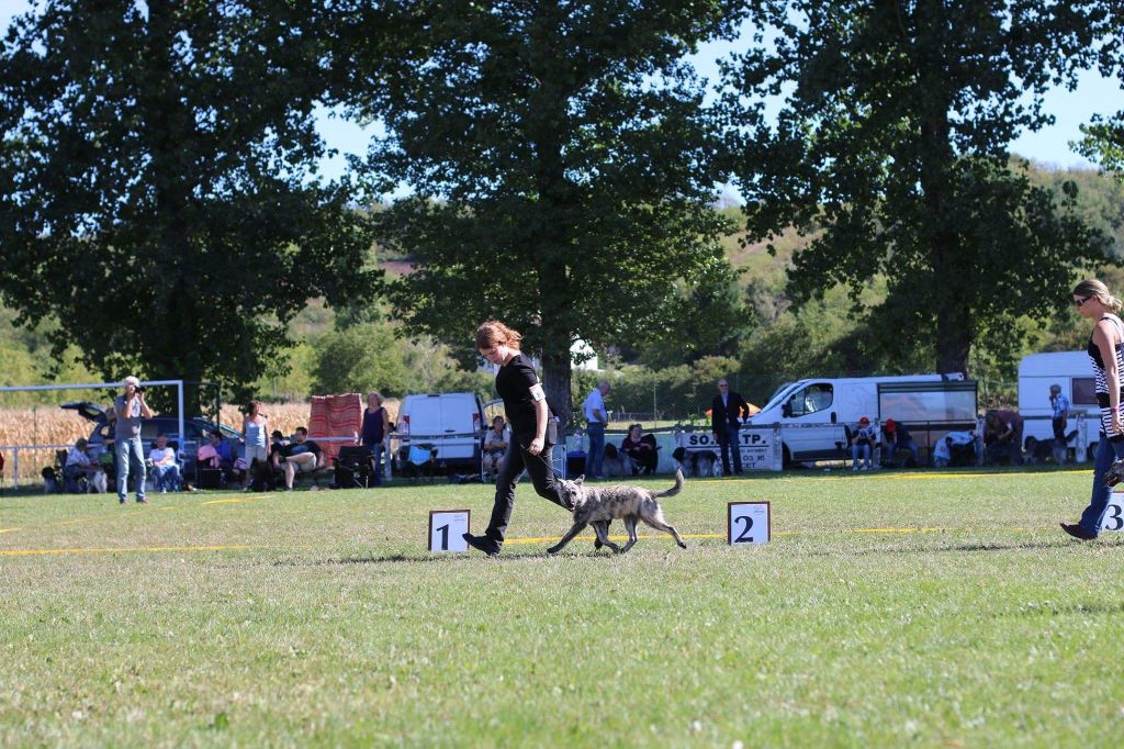 Ohsmoz du mont Brabant - Très prometteur